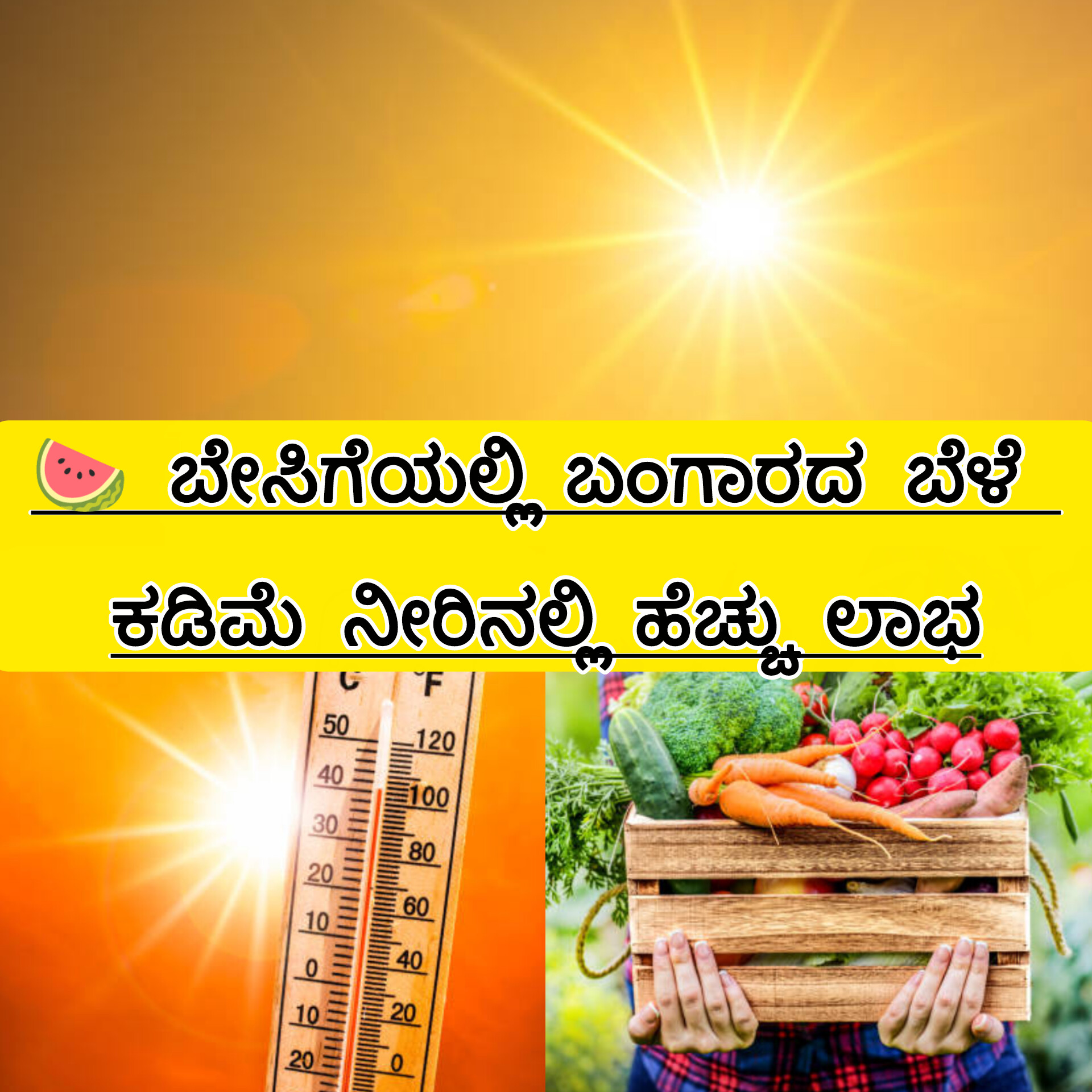 ಬೇಸಿಗೆಯಲ್ಲಿ ಬೆಳೆಯುವ ಖರಬೂಜ ಮತ್ತು ಸೌತೆಕಾಯಿ ಬೆಳೆ ತೋಟ